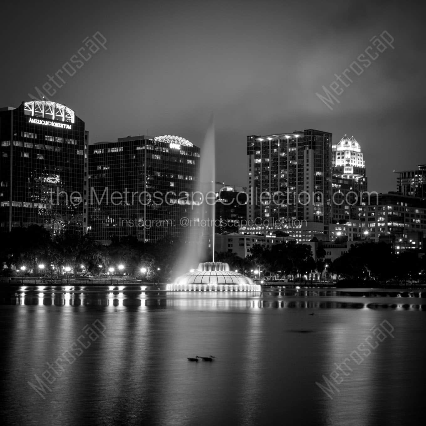 orlando skyline lake eola at night Black & White Wall Art