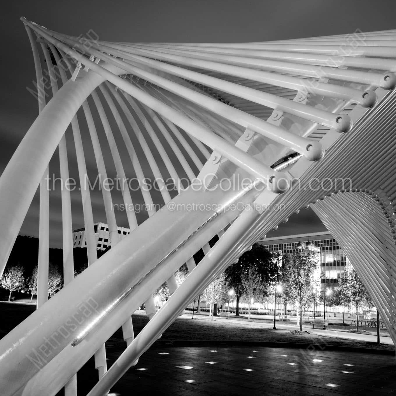 outdoor stage myriad botanical gardens Black & White Wall Art