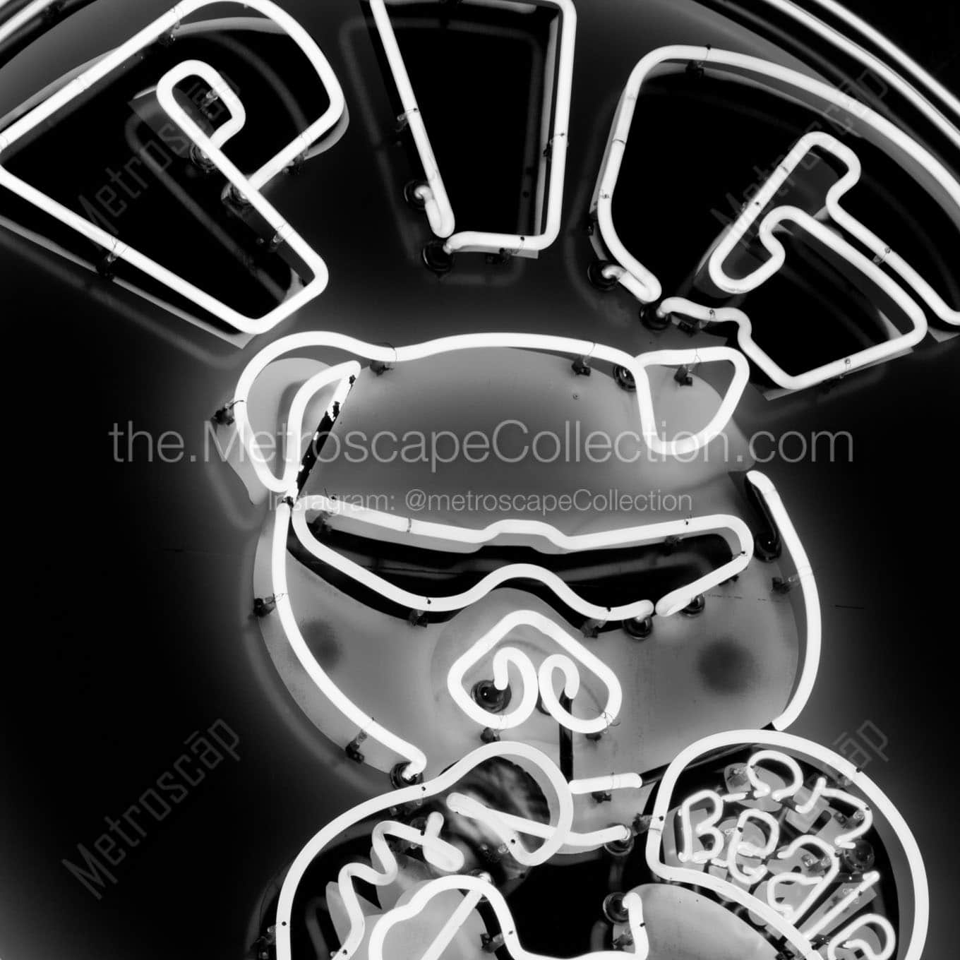 pig on beale Black & White Wall Art