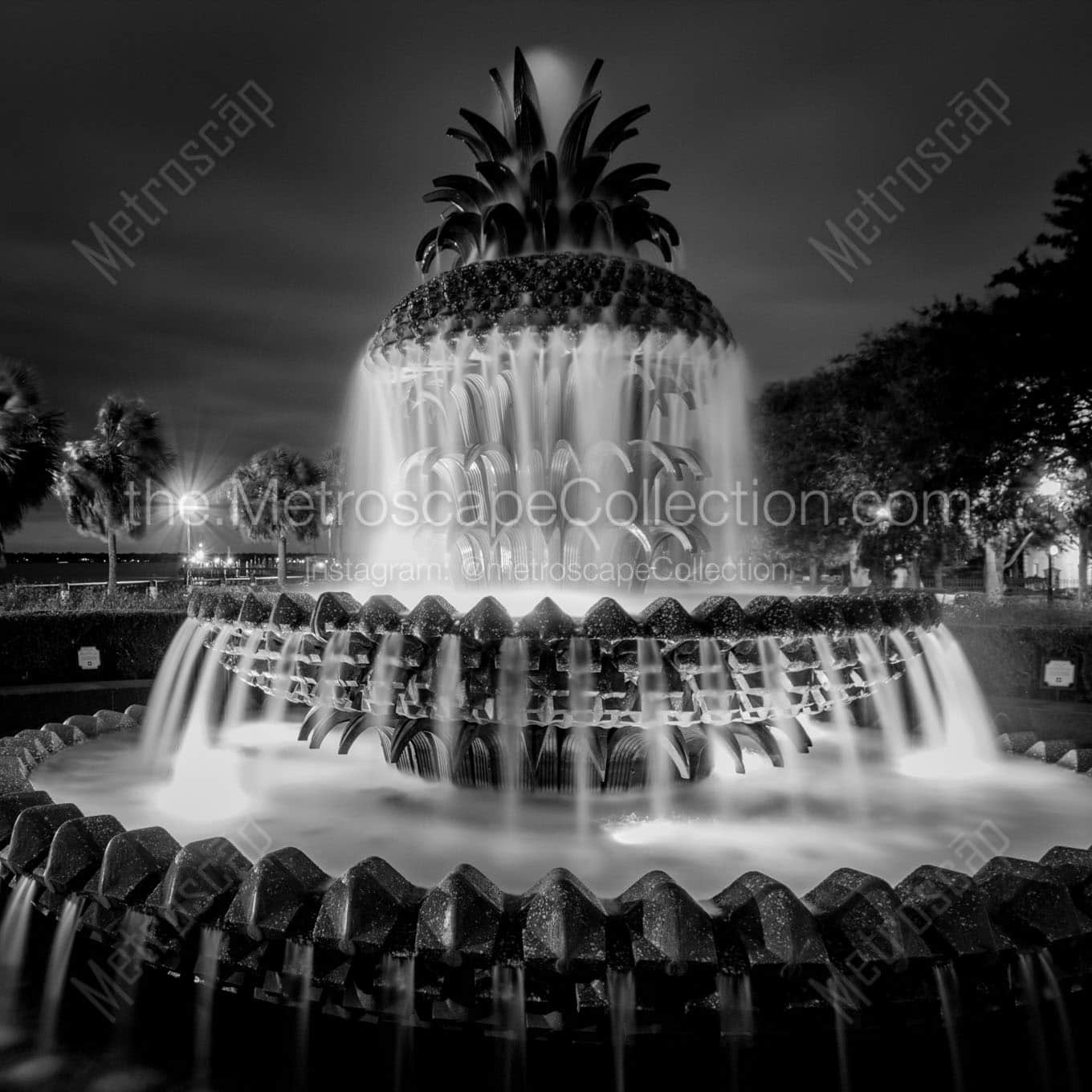 pineapple fountain charleston sc at night Black & White Wall Art