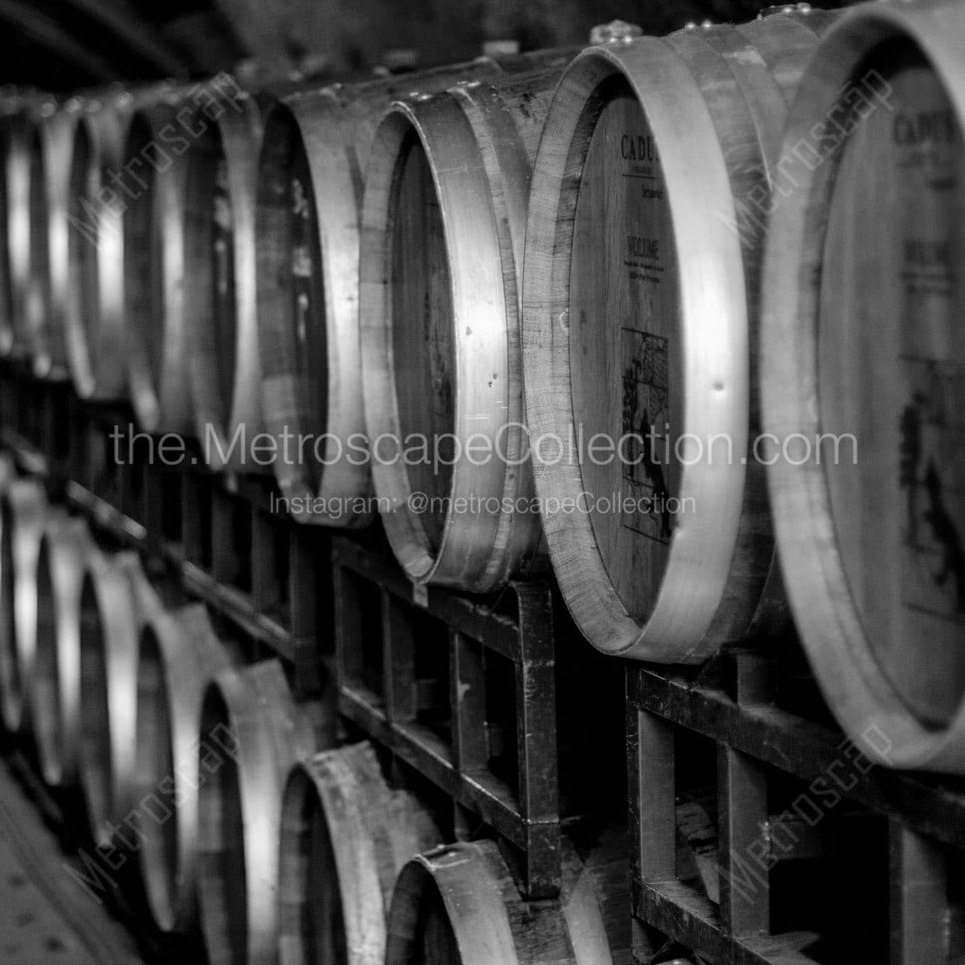 rows of wine barrels Black & White Wall Art