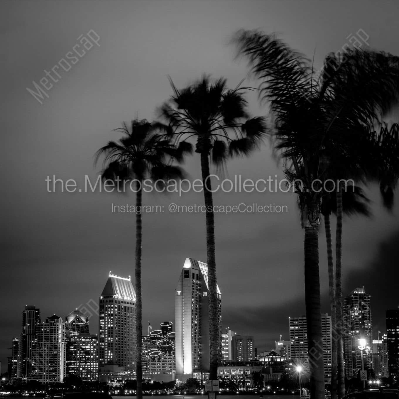 san diego skyline palm trees Black & White Wall Art