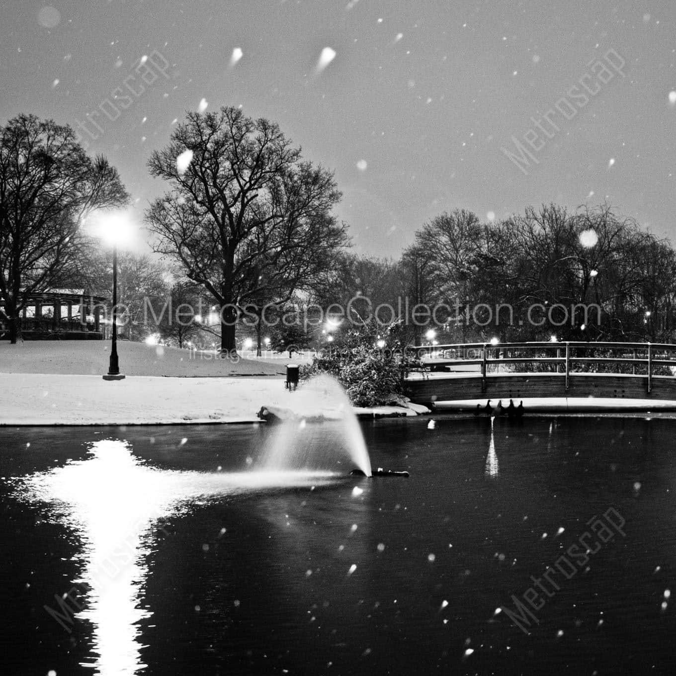 schiller park pond falling snow Black & White Wall Art