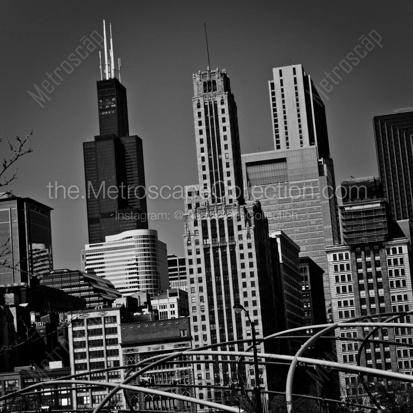sears tower daley plaza grant park Black & White Wall Art