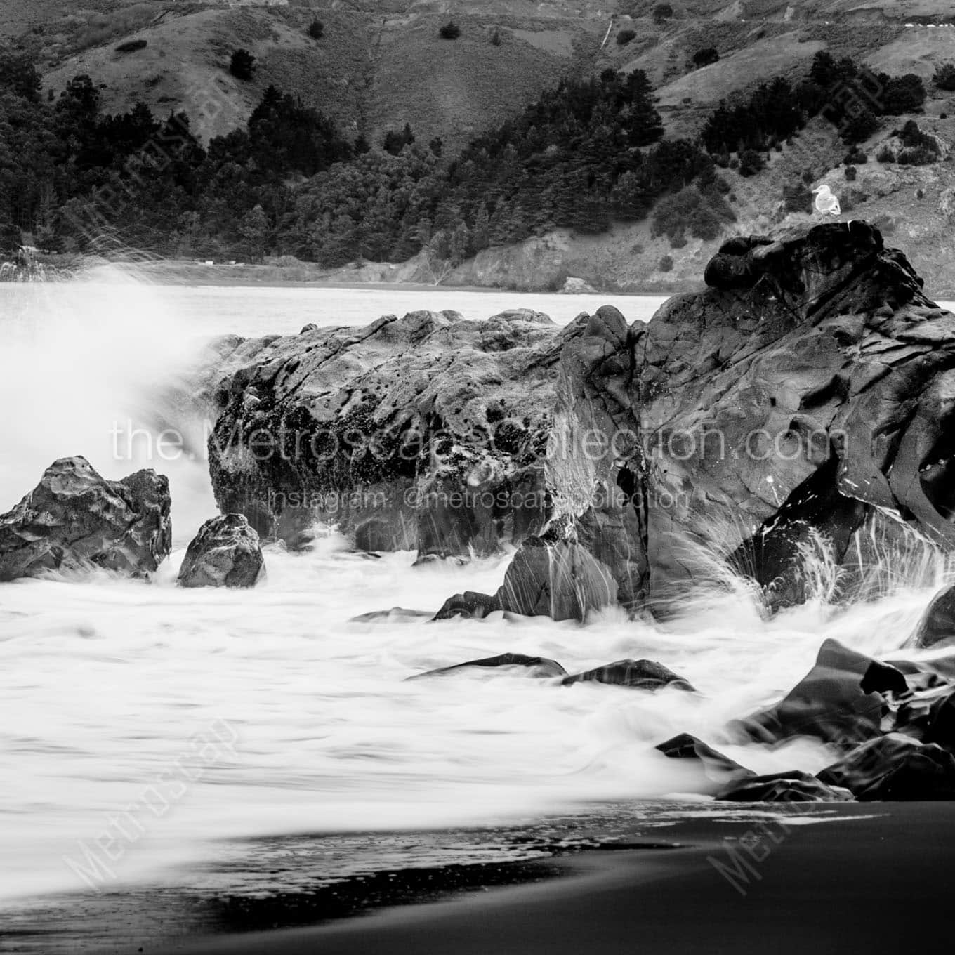 single sea gull on rocks pacific ocean Black & White Wall Art