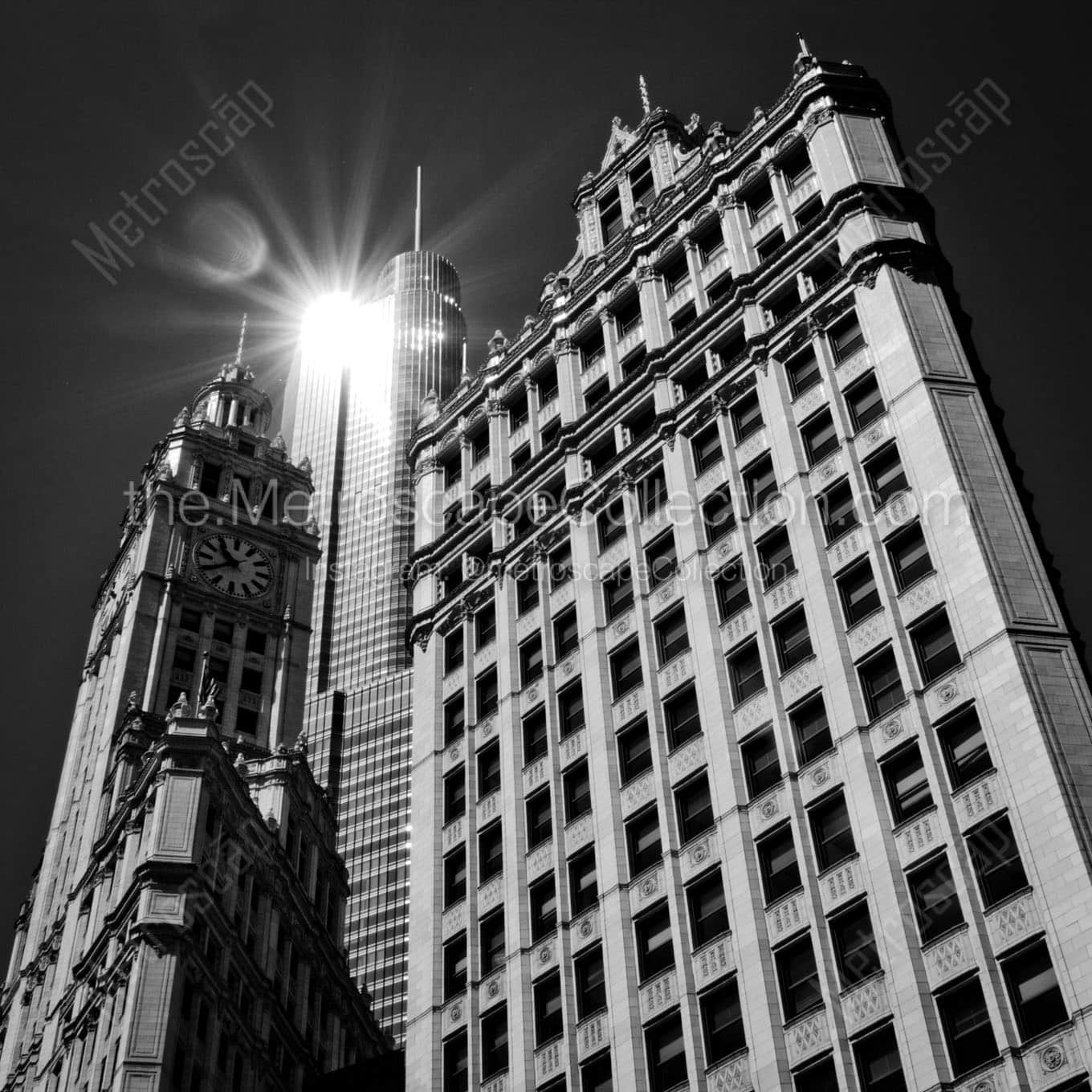 sun reflection off trump tower over wrigley building Black & White Wall Art