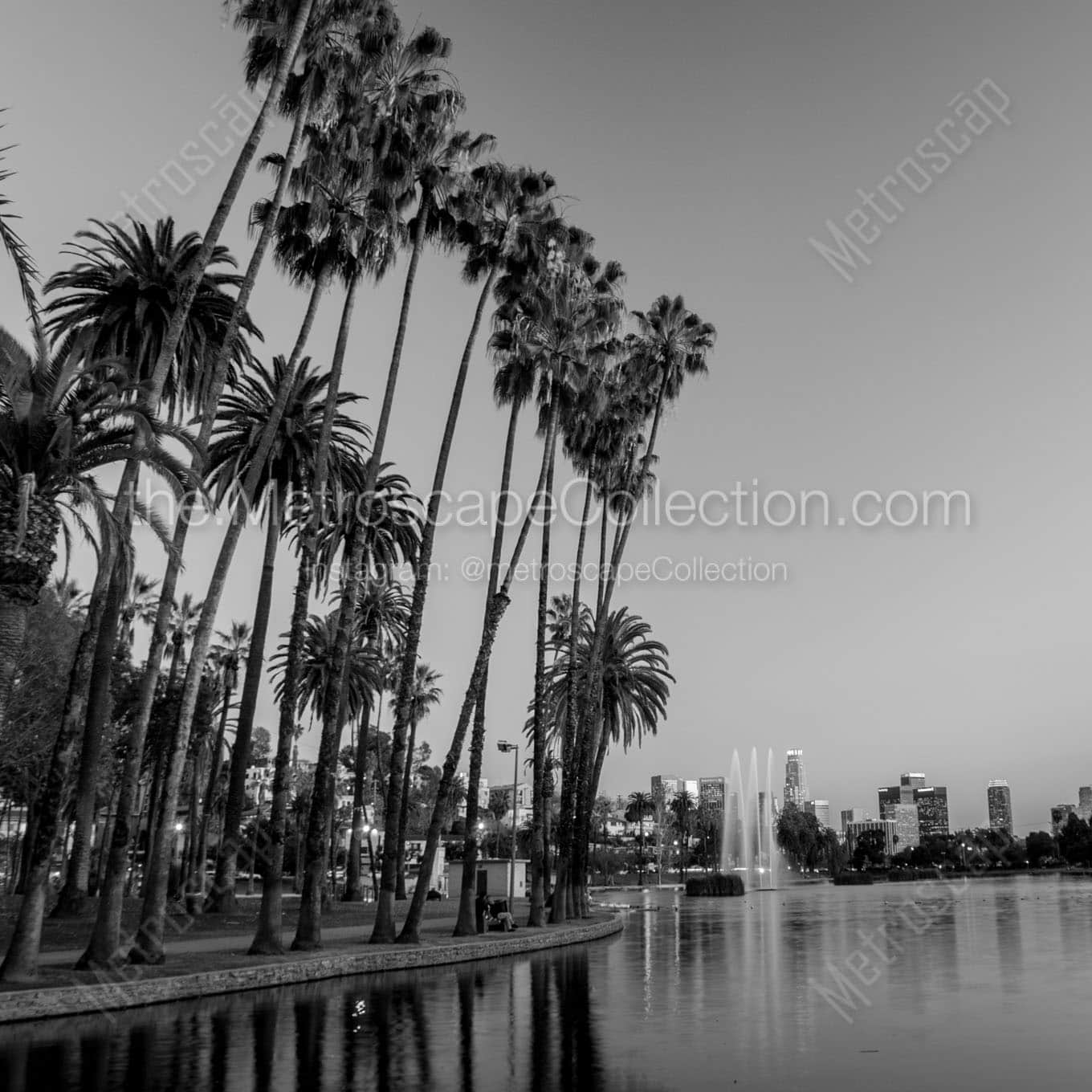 tall palm trees echo park Black & White Wall Art