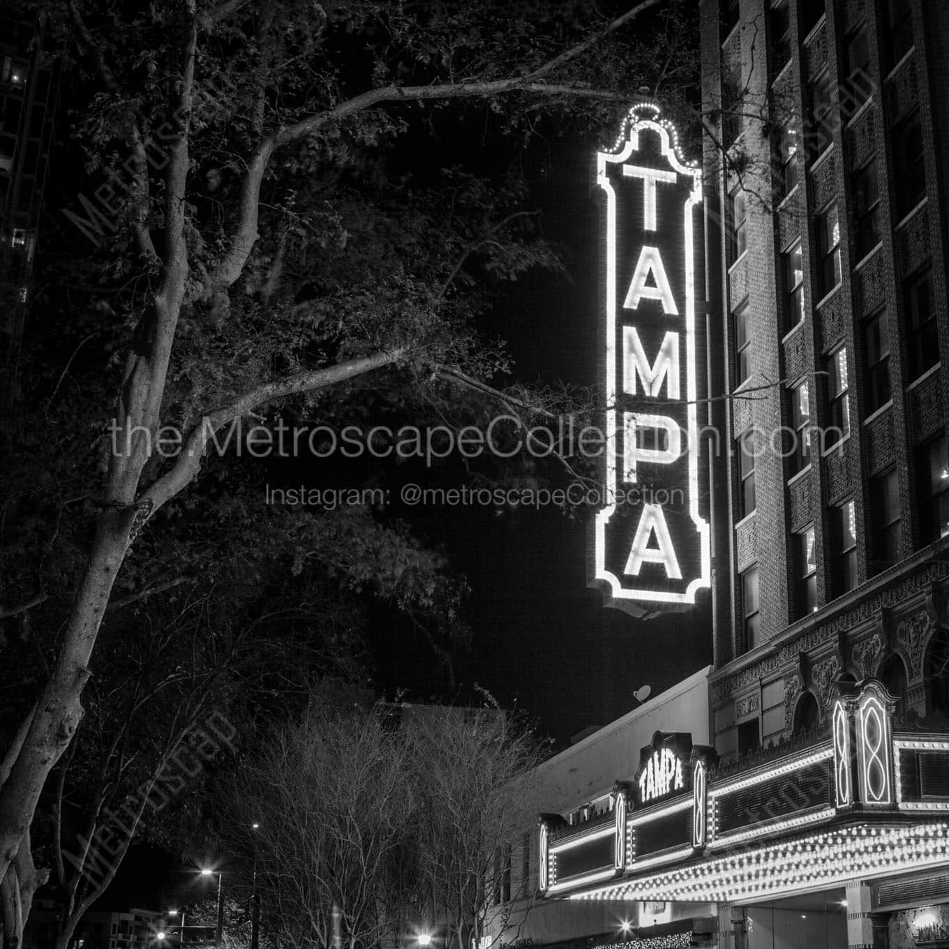 tampa theater at night Black & White Wall Art