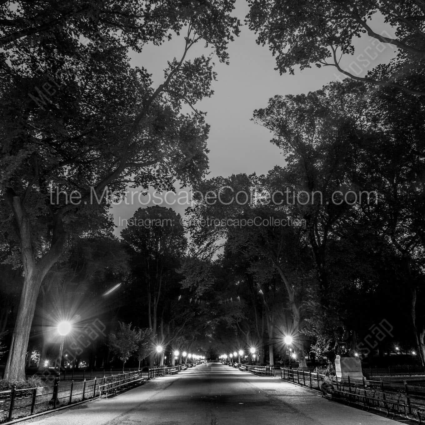 the mall central park Black & White Wall Art