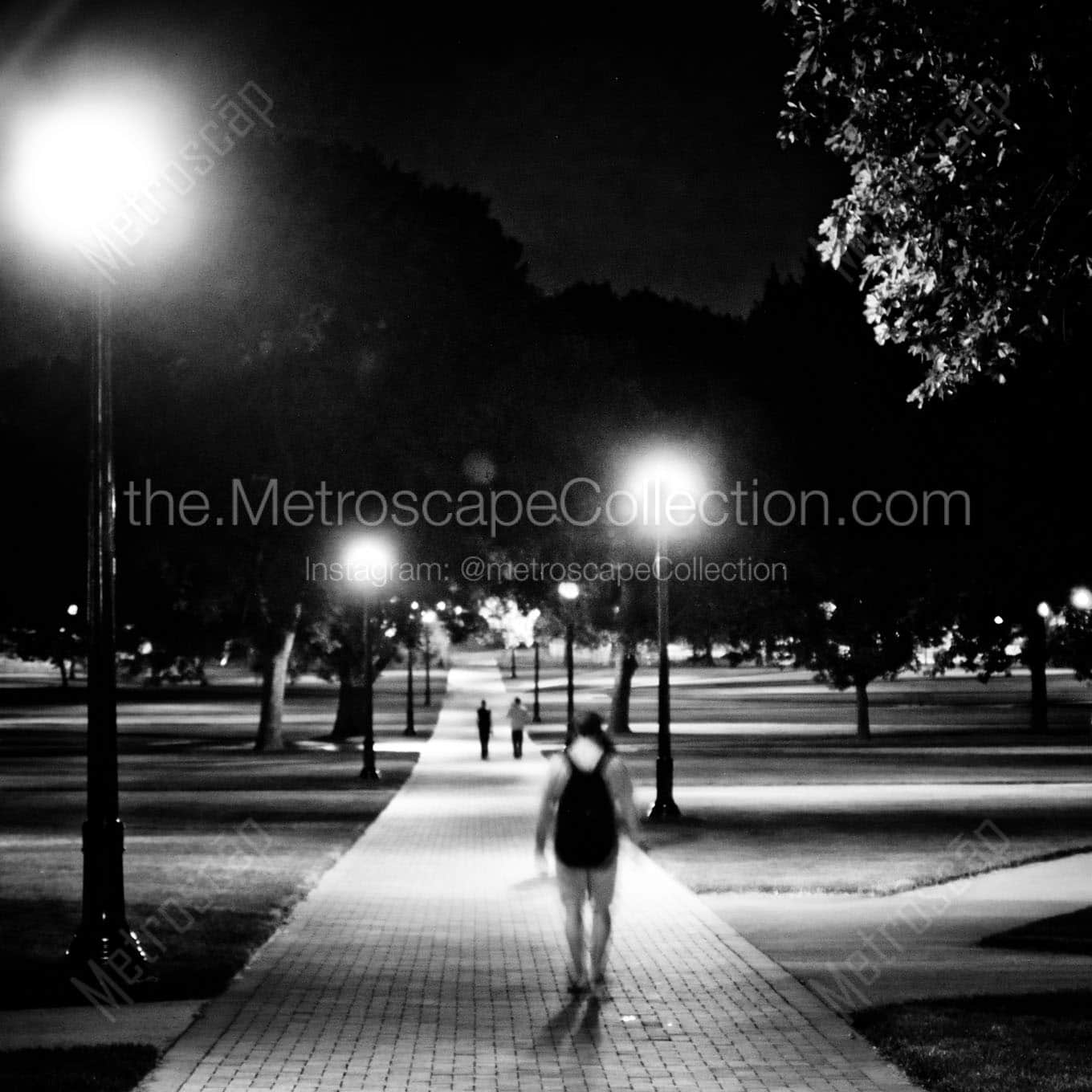 the oval osu campus at night Black & White Wall Art