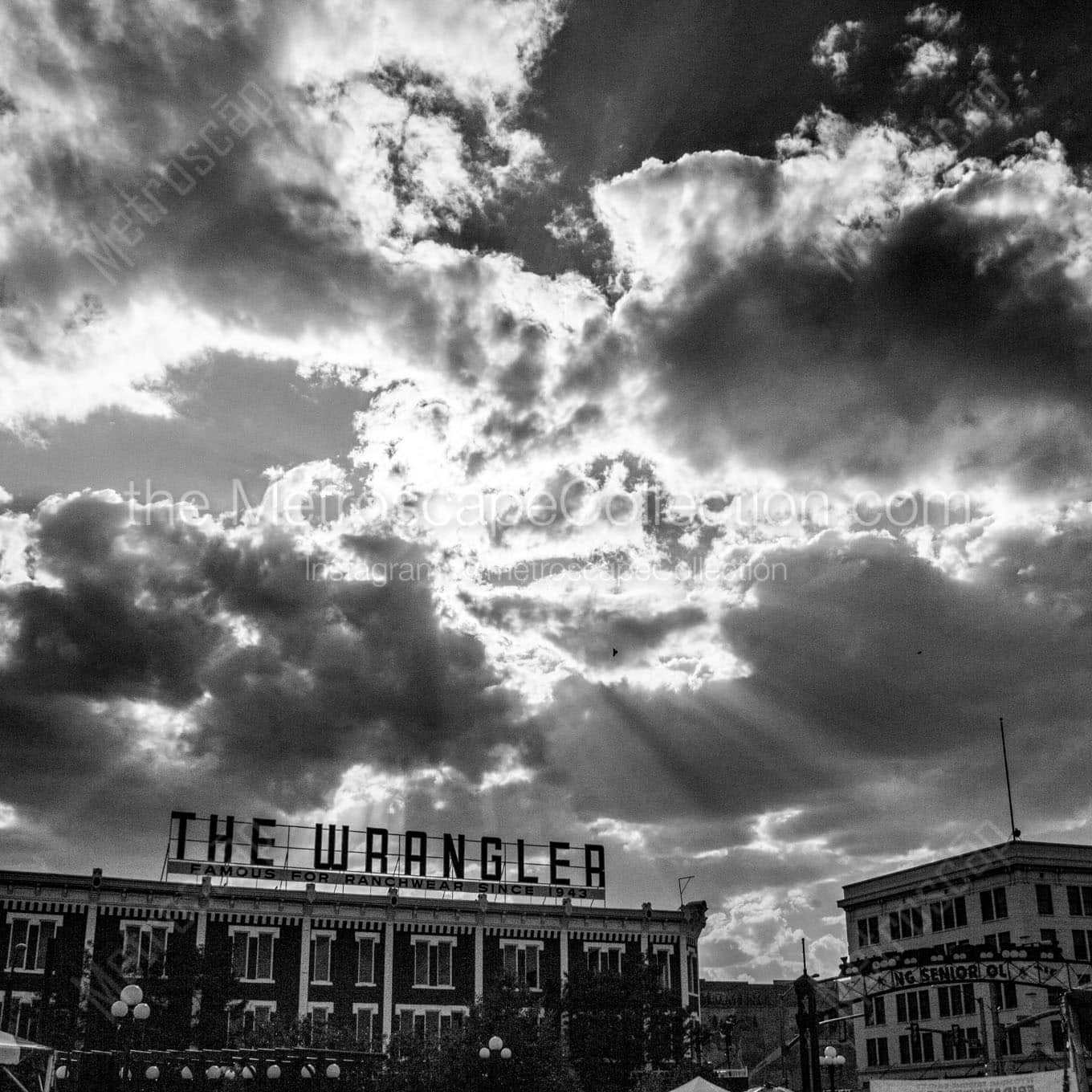 the wrangler in downtown cheyenne Black & White Wall Art