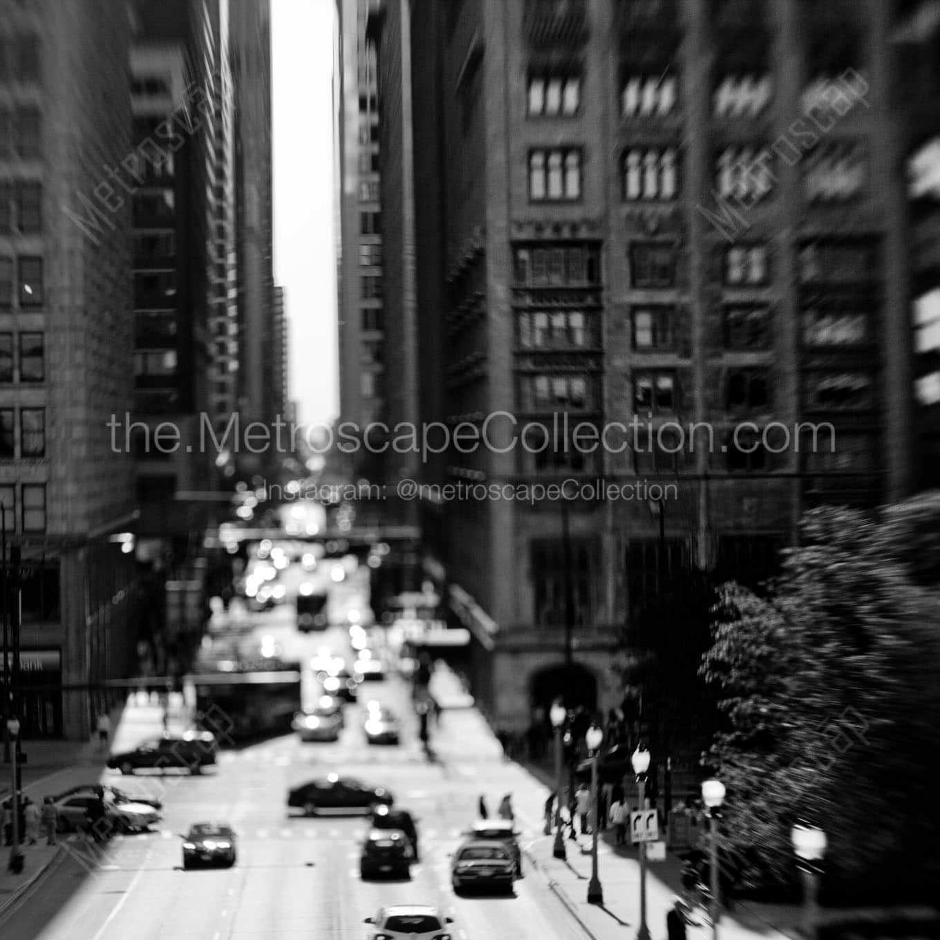 tilt shift lens monroe street Black & White Wall Art