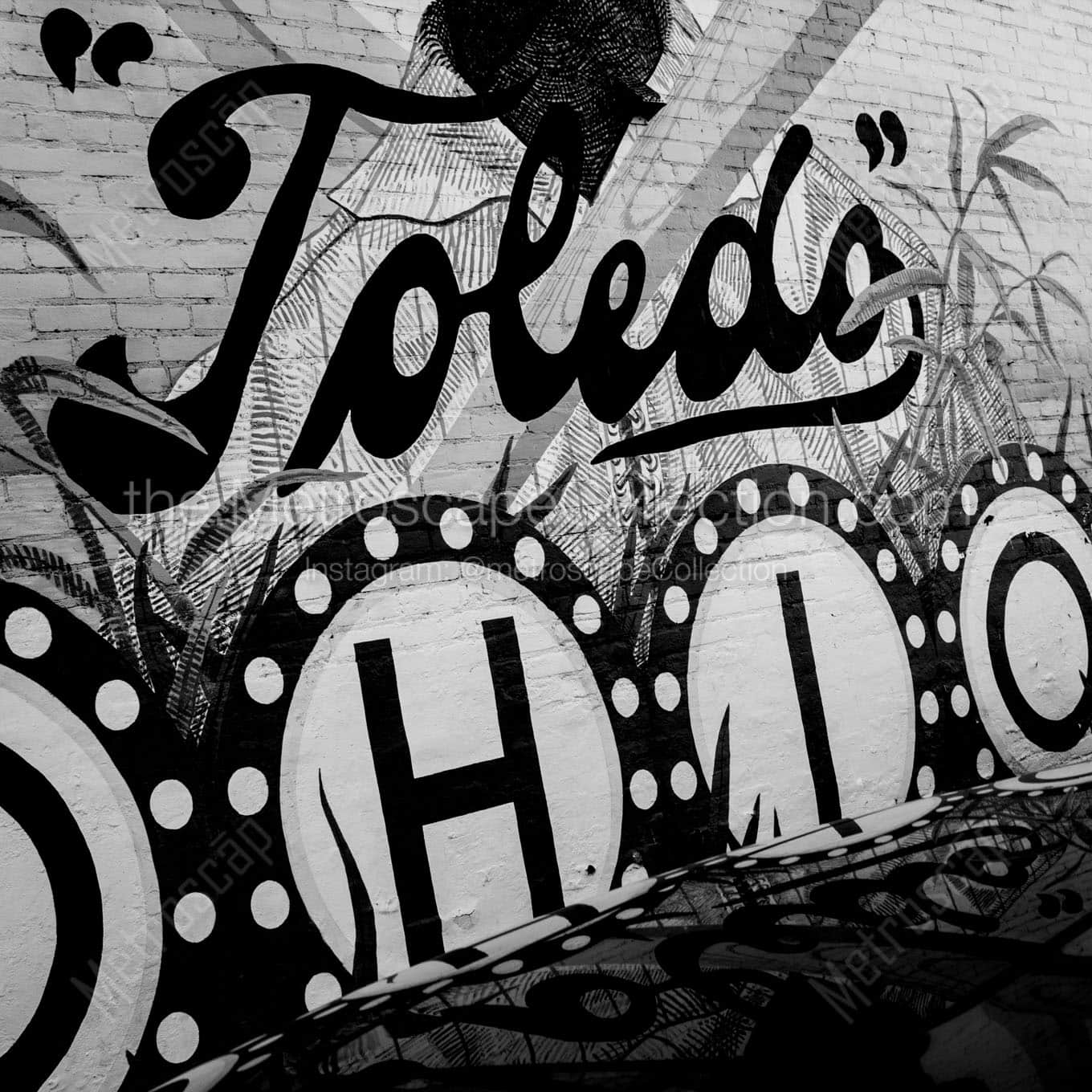 toledo ohio wall mural Black & White Wall Art