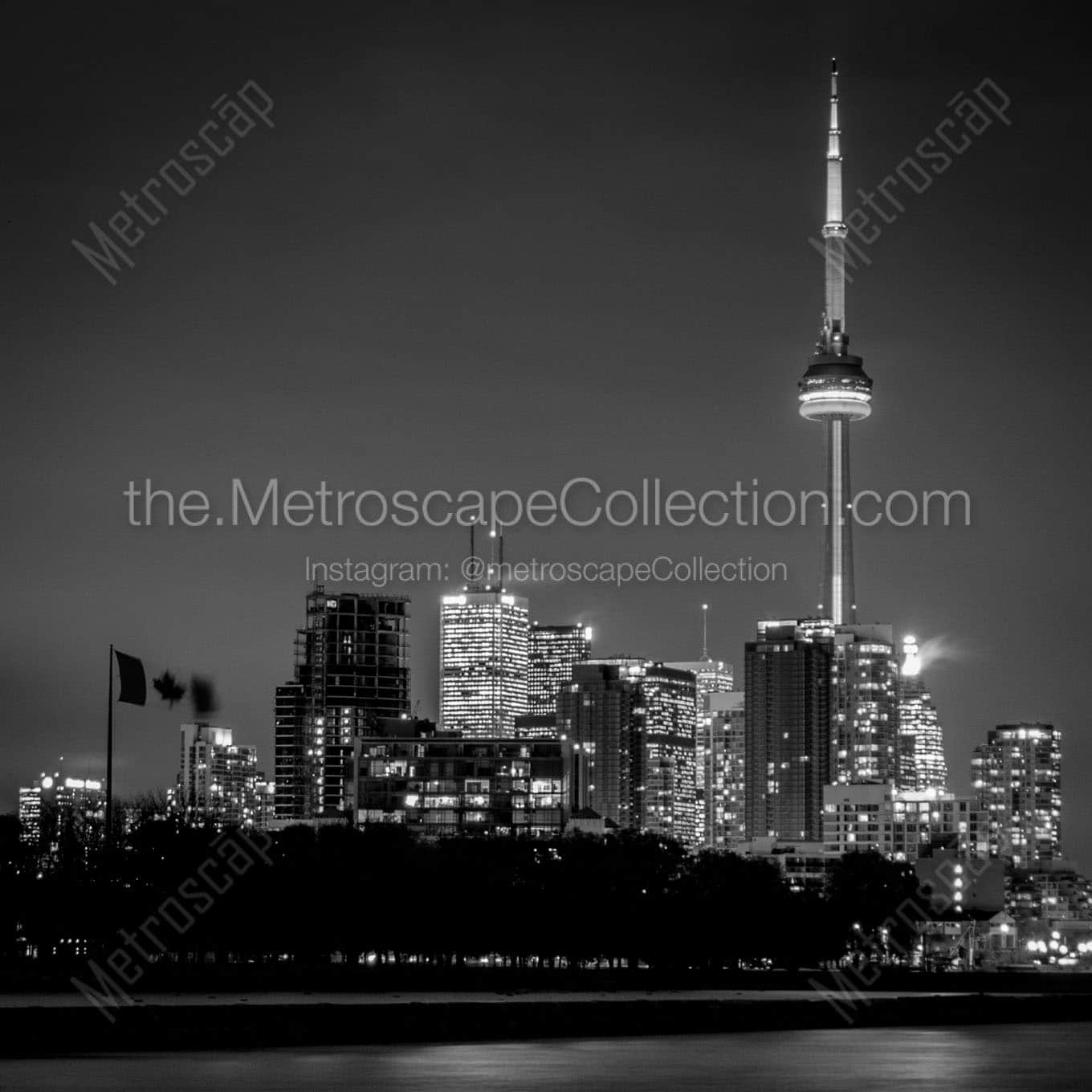 toronto skyline at night Black & White Wall Art