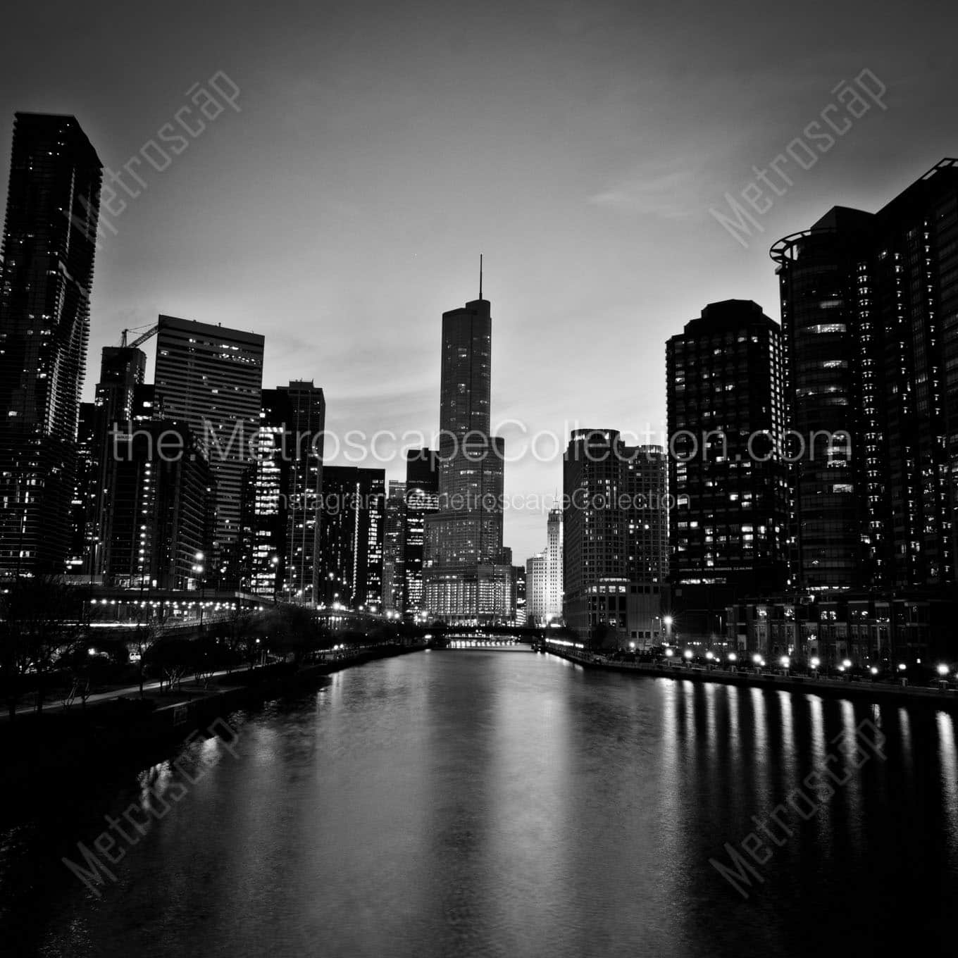 trump tower chicago river Black & White Wall Art