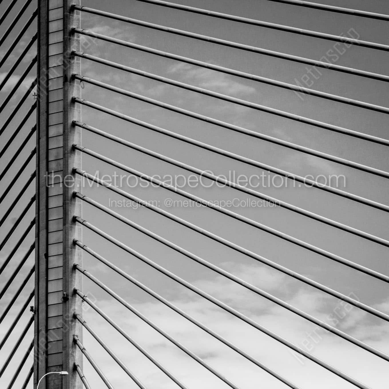 veterans glass skyway bridge support cables Black & White Wall Art