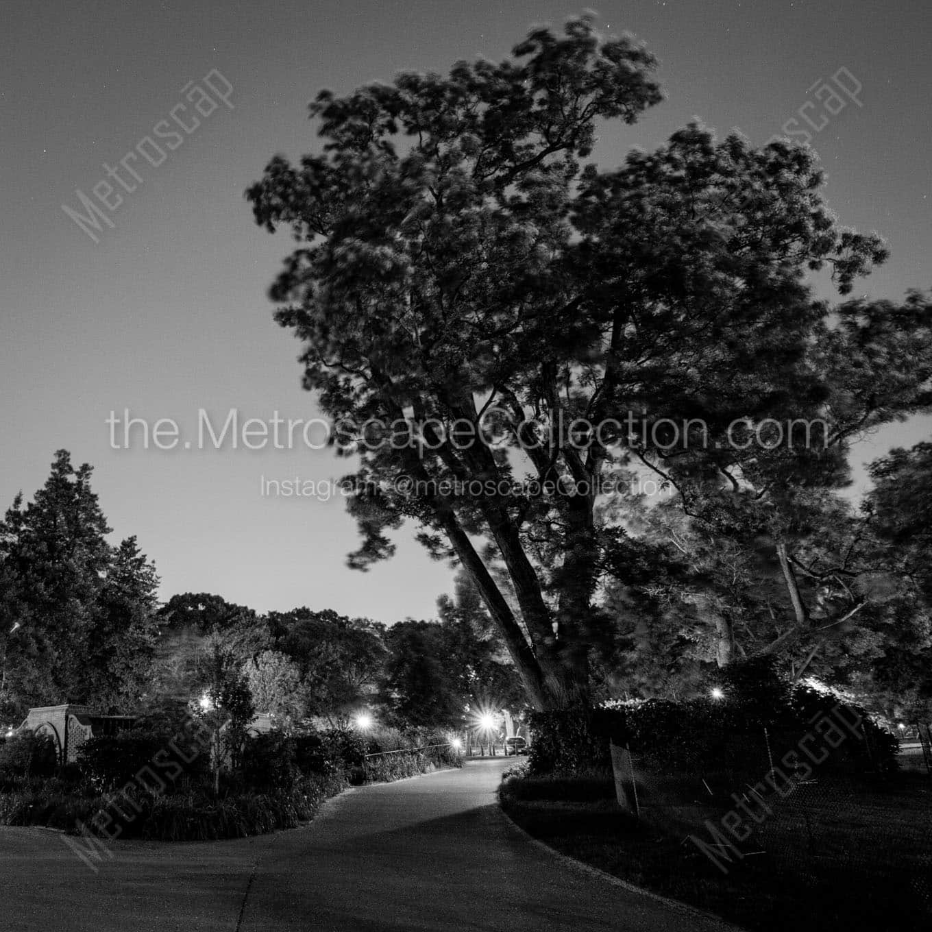 walking path us capitol building Black & White Wall Art