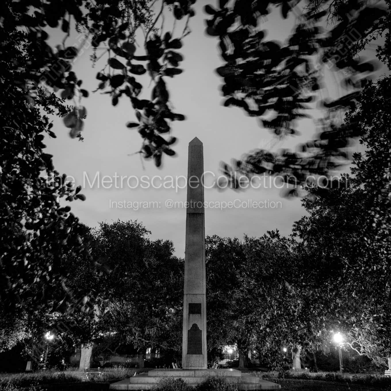 washington square park charleston sc Black & White Wall Art