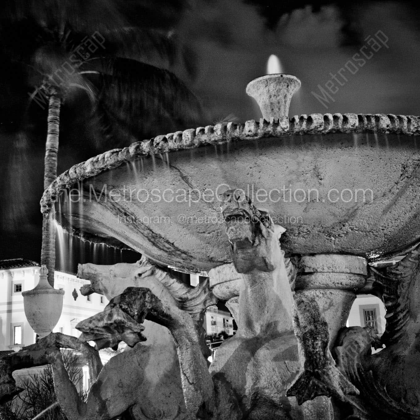 wild stallion fountain palm beach island Black & White Wall Art