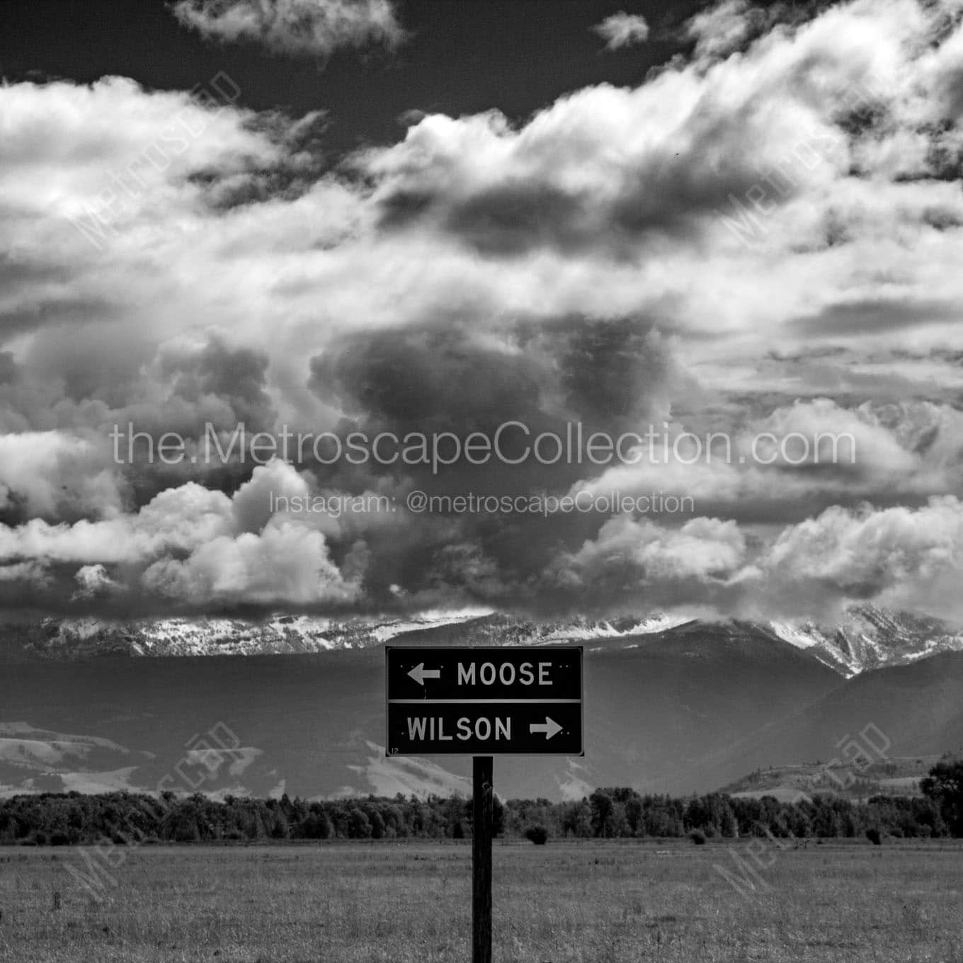 wilson wyoming sign Black & White Wall Art