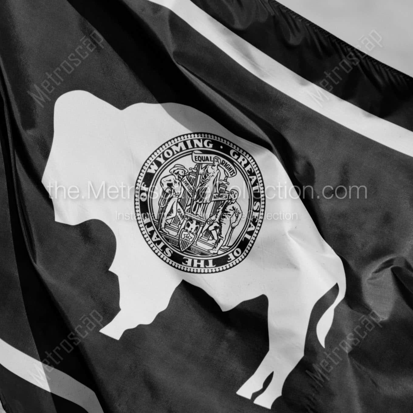 wyoming flag Black & White Wall Art