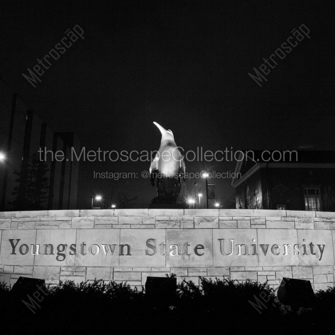 youngstown state university sign at night Black & White Wall Art
